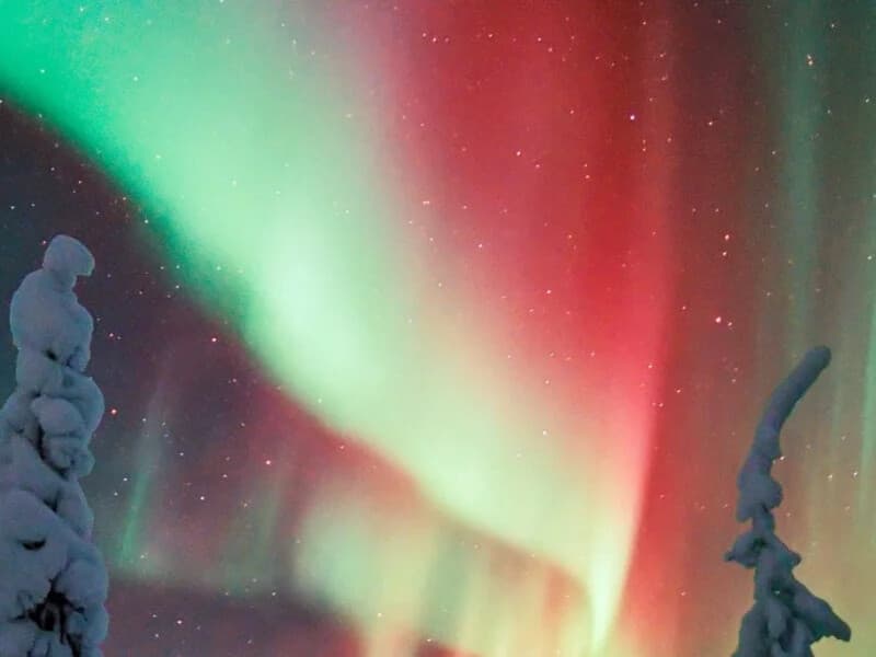 Northern Lights Hunting Adventure Near Rovaniemi: Guided Aurora Photography Tour in Lappi
