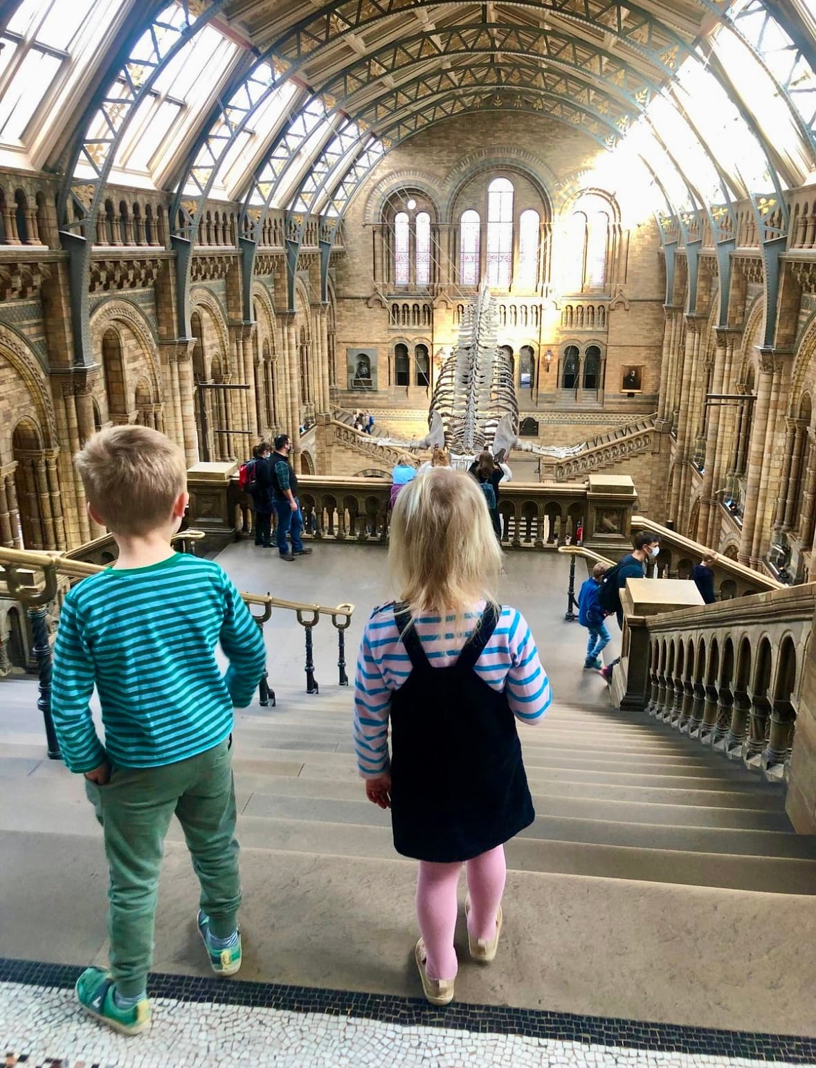 Explore London’s Natural History Museum: A Family-Friendly Private Guided Adventure