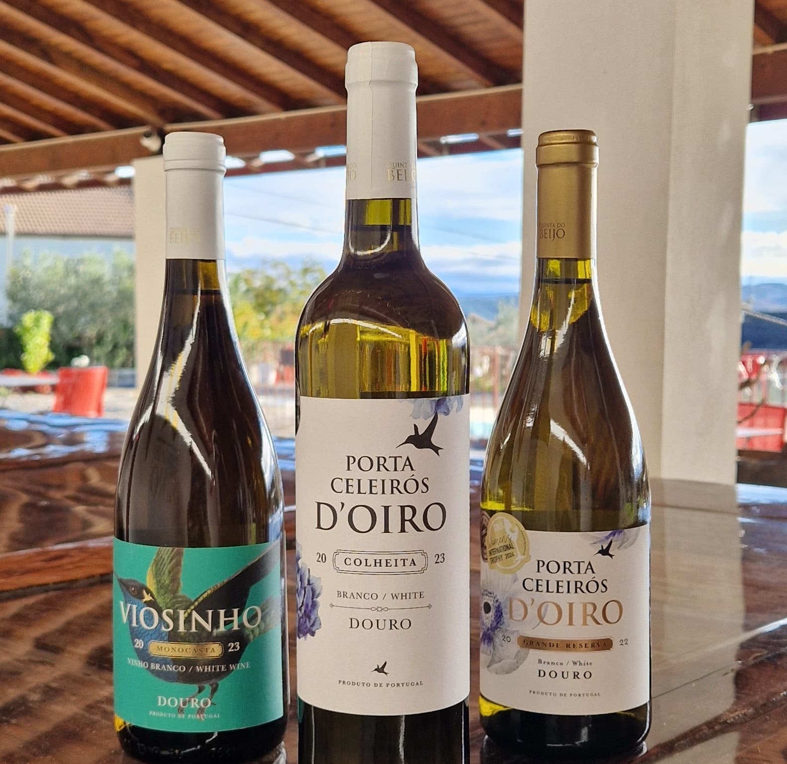White Wine Tastings at Quinta Do Beijo in Douro