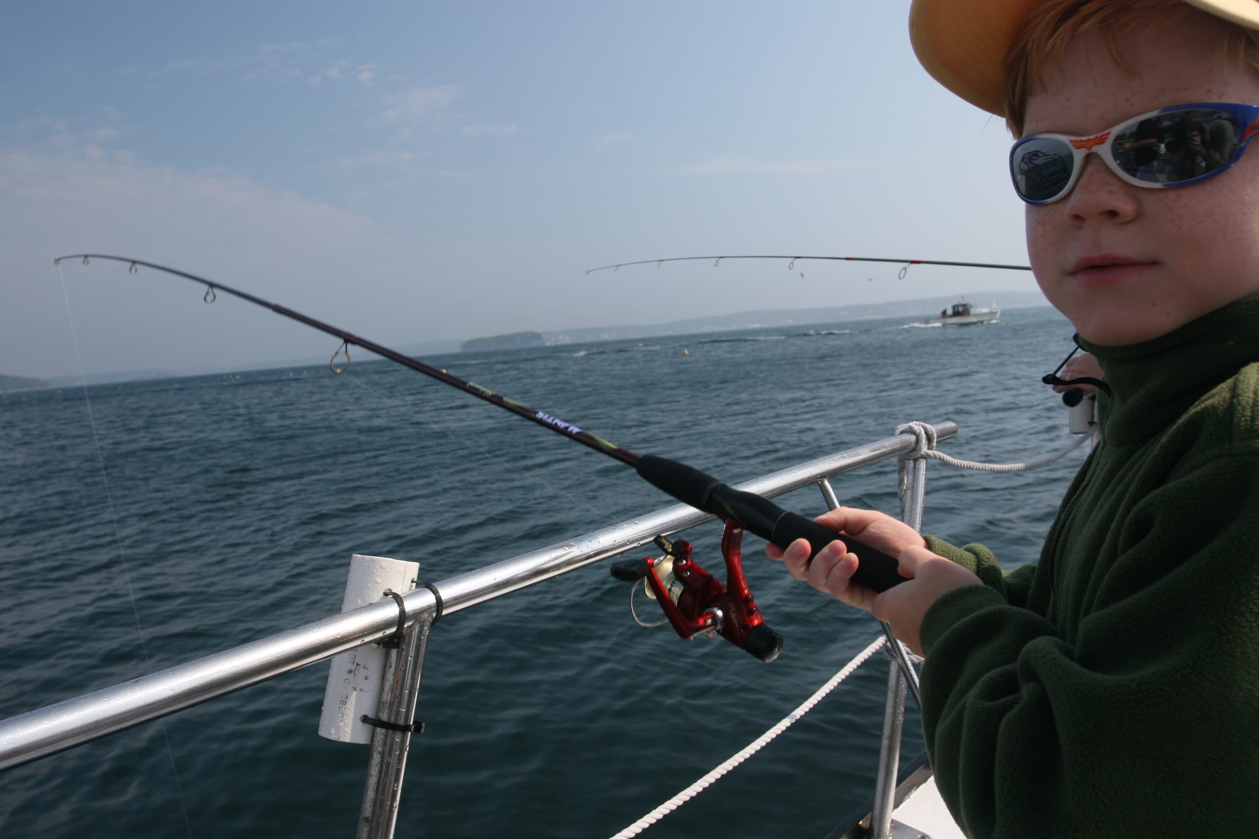 Water Activities Guide: Mackerel Fishing with Balmy Days Cruises