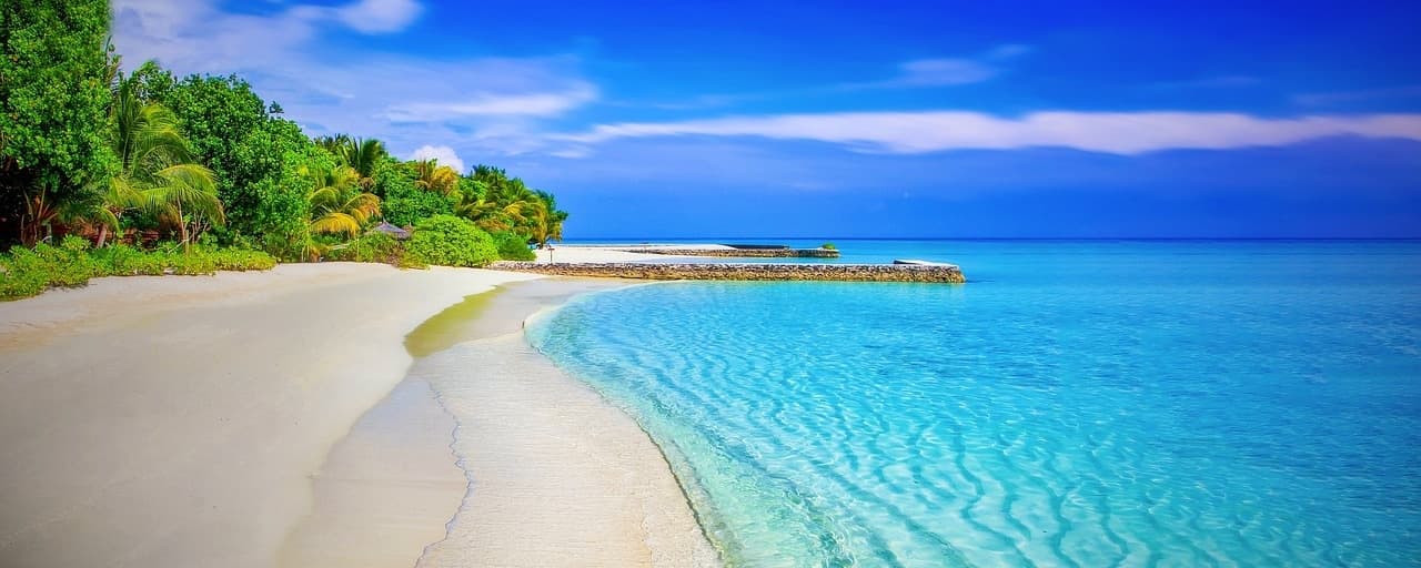 Full Day at Vieques: Private Adventure from Fajardo, Puerto Rico