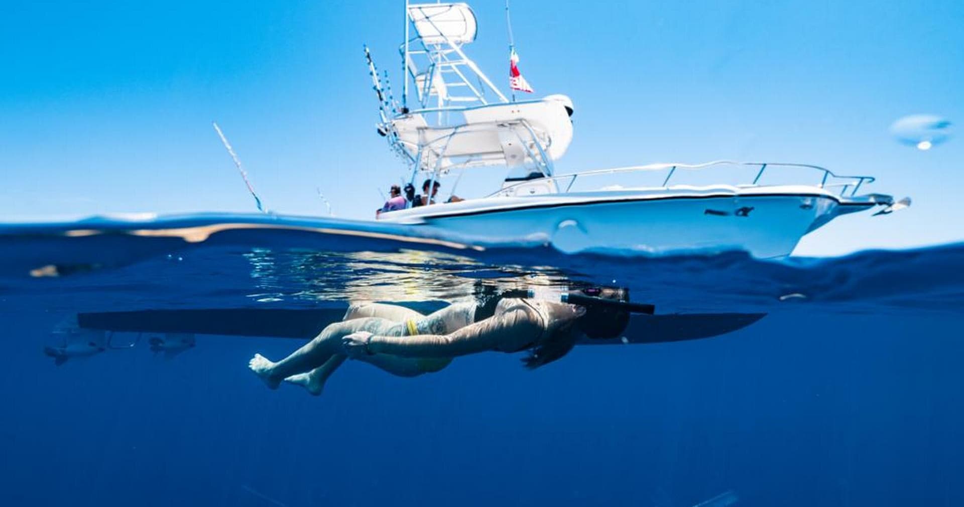 Day Cruises with Fish Out of Water Tours in Pacific Palisades
