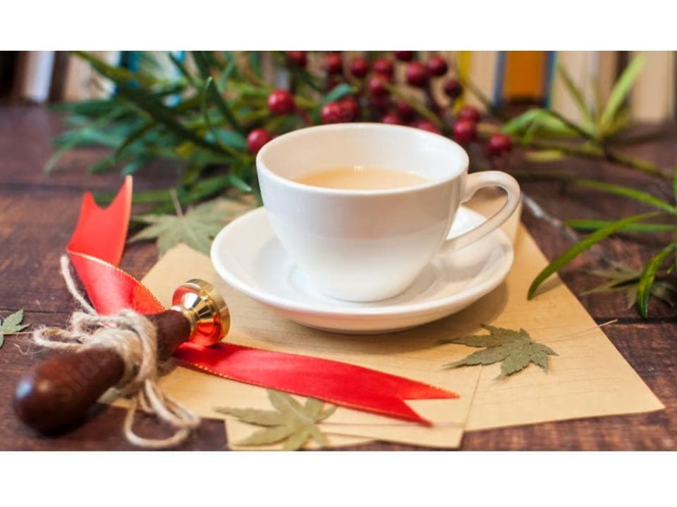Experience Historic Charm and Storytelling at the Winter Tea Fundraiser in Pittsfield, Massachusetts