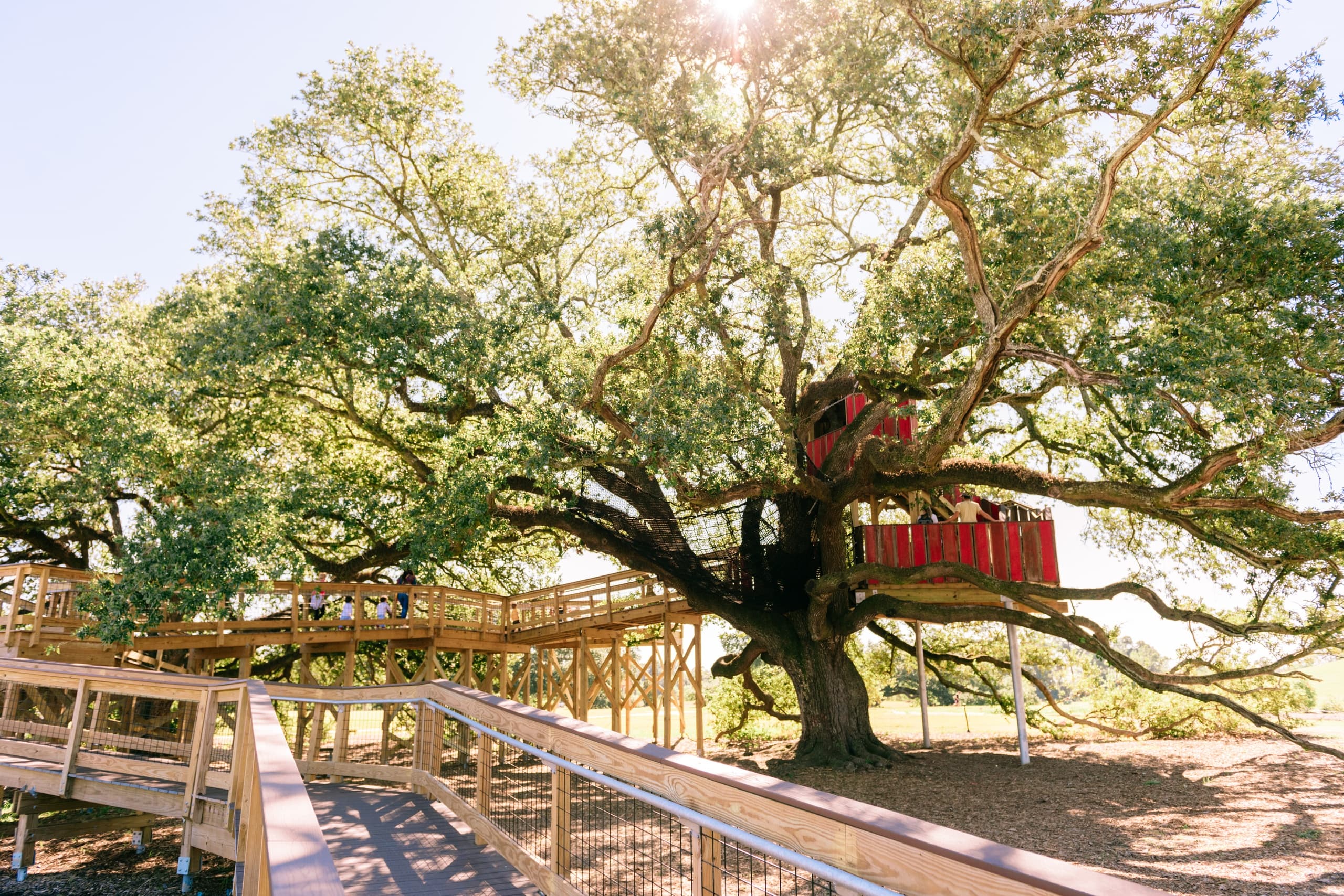 Outdoor Adventures & Family Events at Savoy Family Treehouse