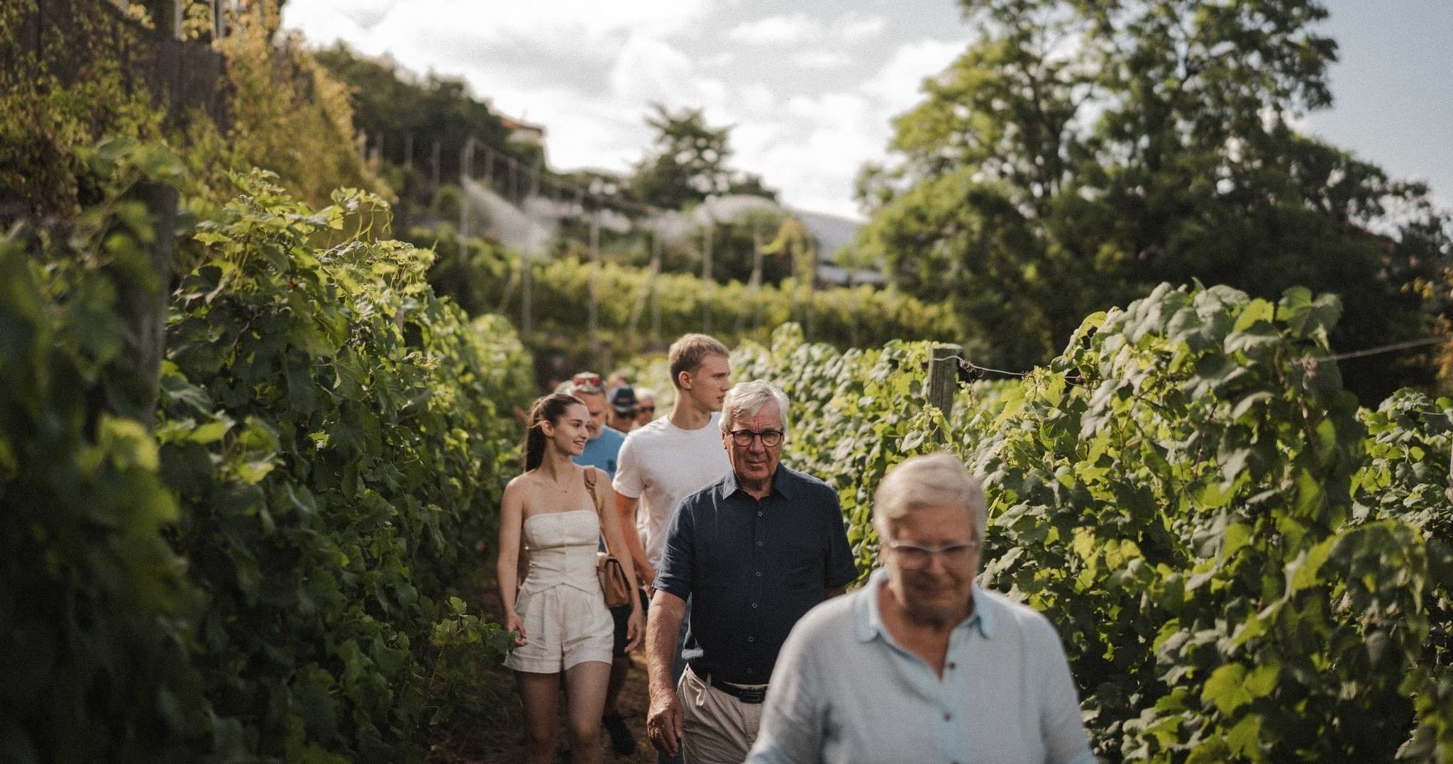 Madeira Vineyard Heritage Experience | Guided Tour in Funchal | History Tour, Food Tour, Winery, Wine