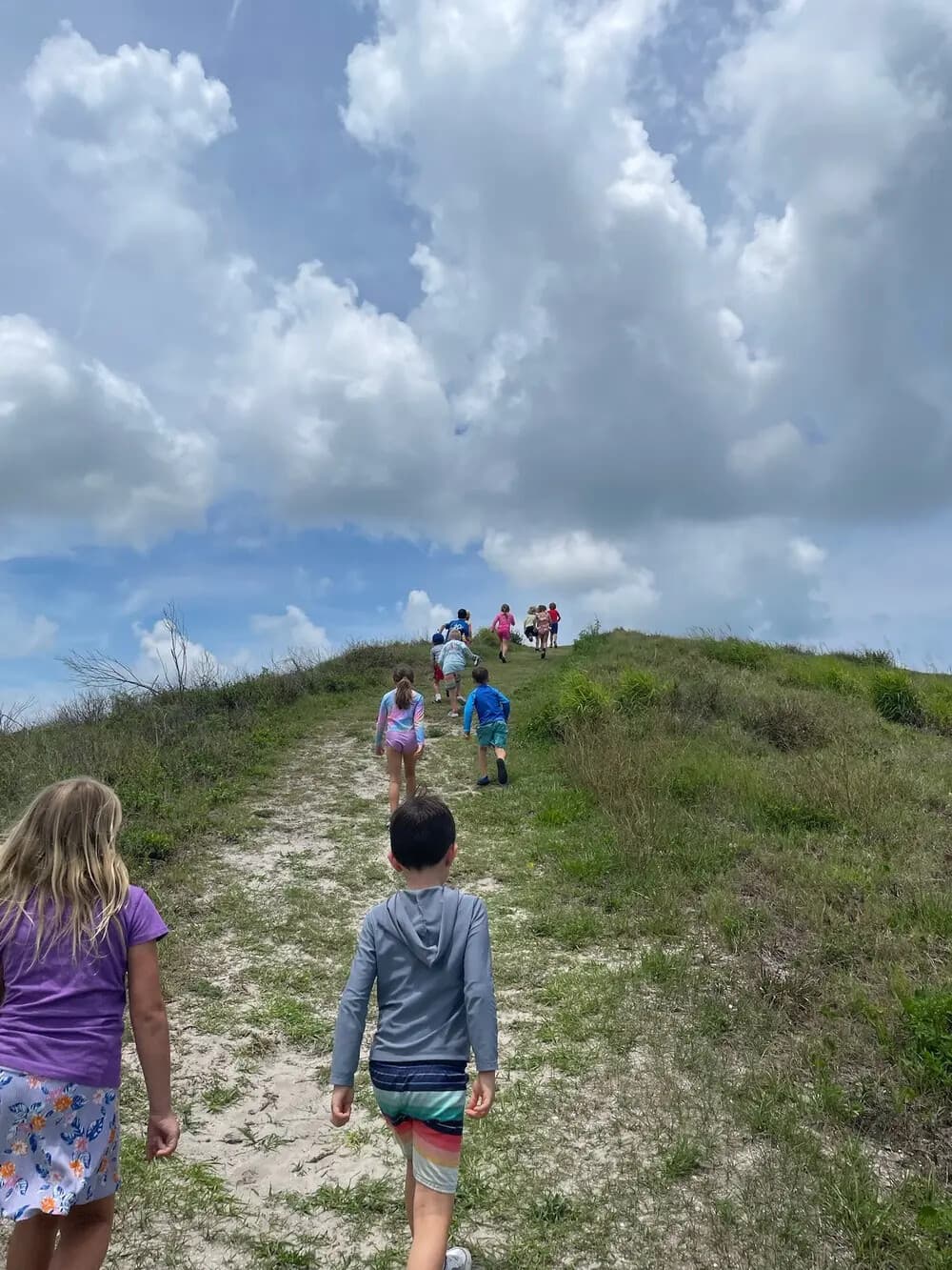 Sea Squirt Parent & Toddler Tidepool Program in New Smyrna Beach