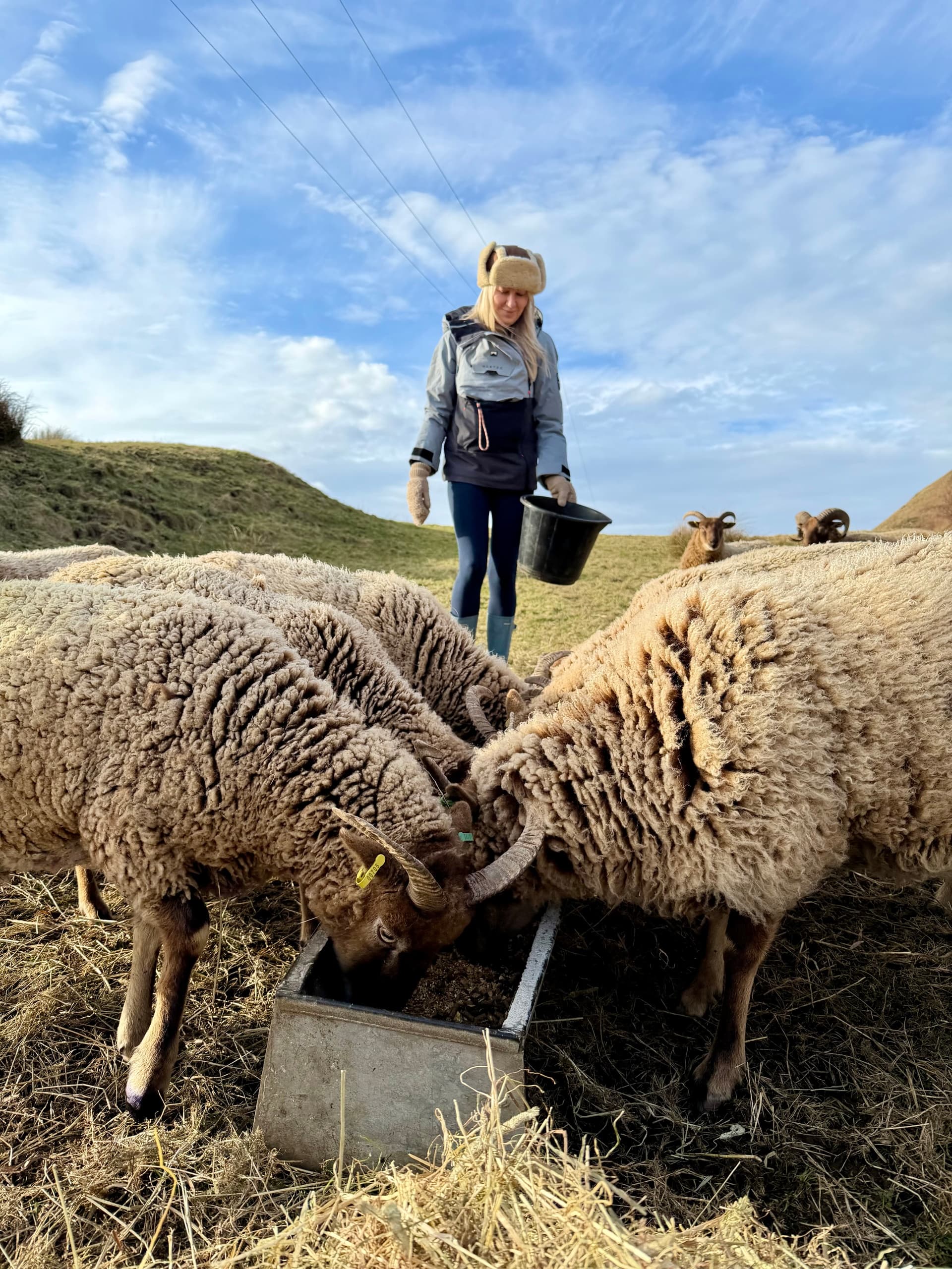 Highland Cows, Hill Walk and Farm Lunch with the Hebridean Baker near Oban photo 4