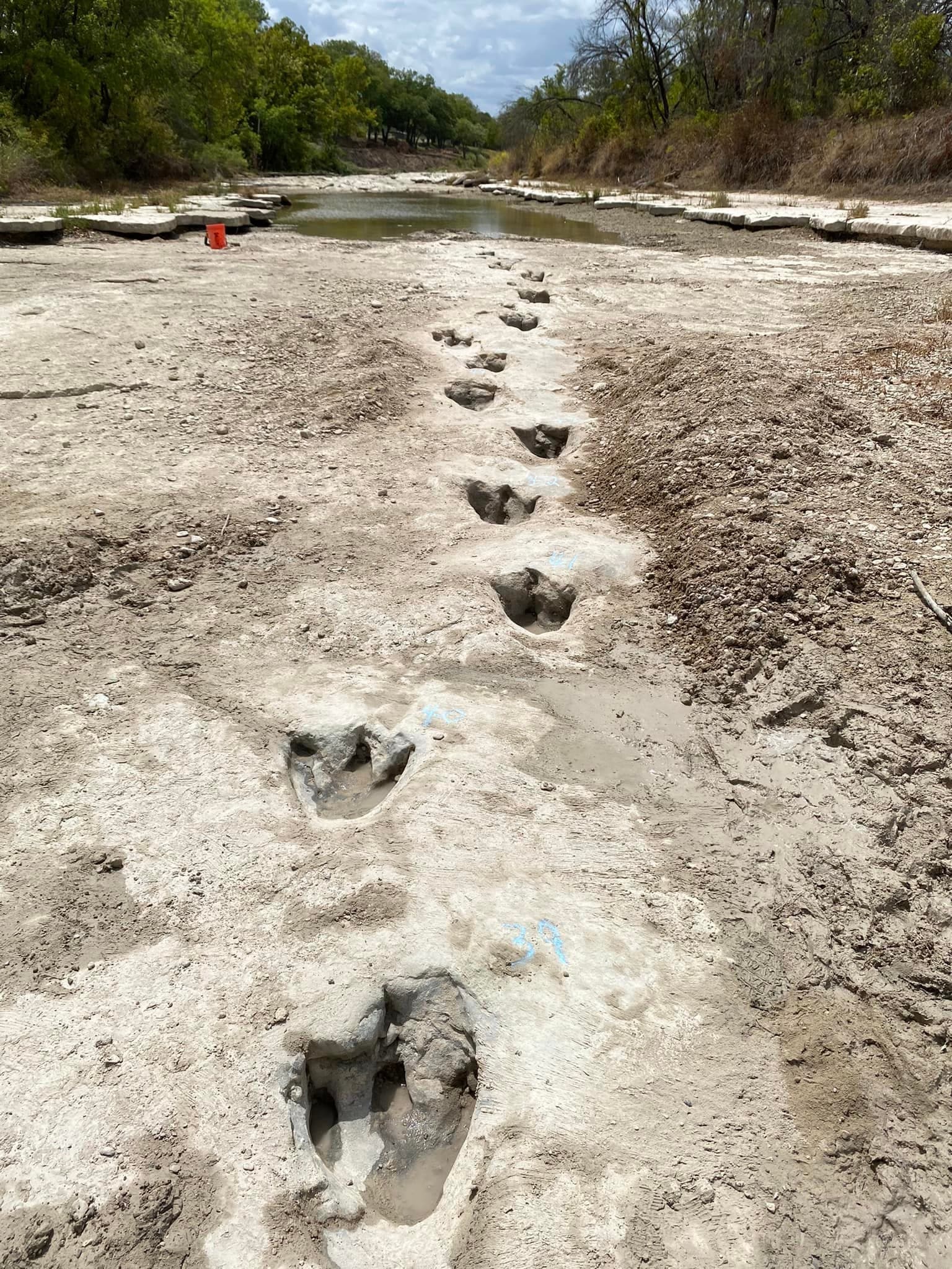 Spring Break Dino Tracker: Hands-On Footprint Hunts in Wembley, Alberta