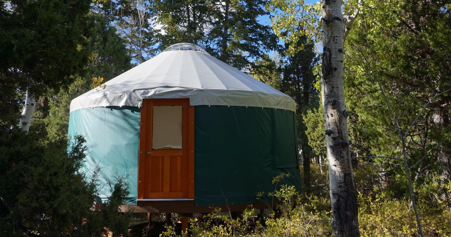 Canvas yurt accommodation among pine and aspen trees in woods