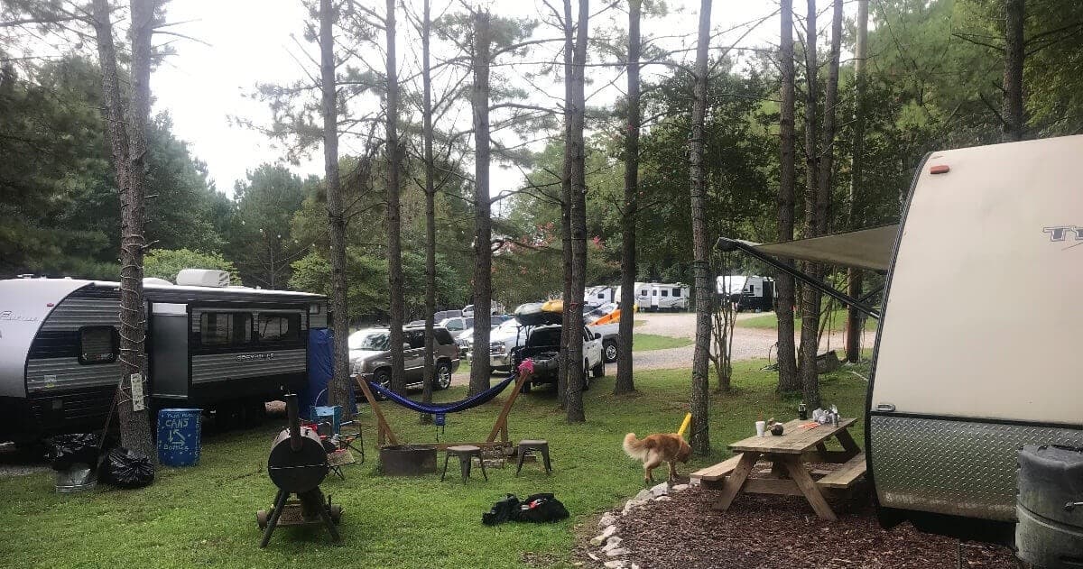 Land Adventures at Smooth Rapids Outfitters - Riverside RV Camping