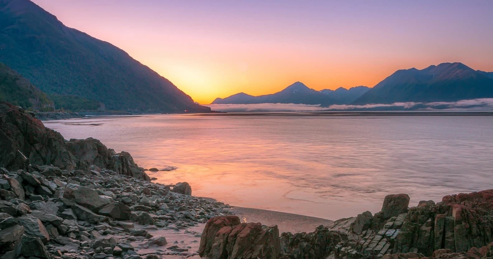 Wildlife & Scenic Transfer with Welcome Anchorage Tours in Alaska