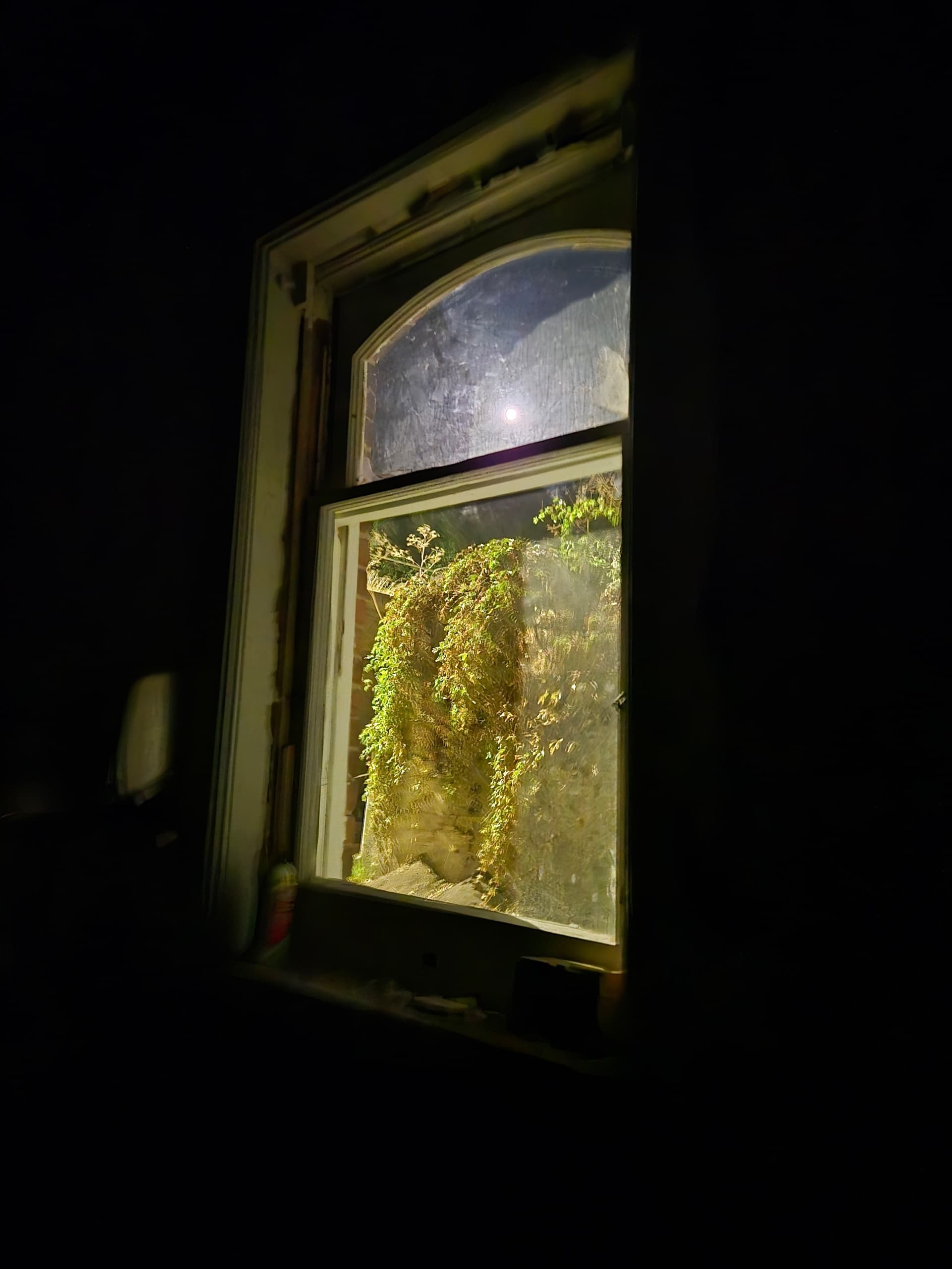 Inside Colfax’s Six‑Floor Abandoned Hospital: Winter Special 4‑Hour Private Investigation