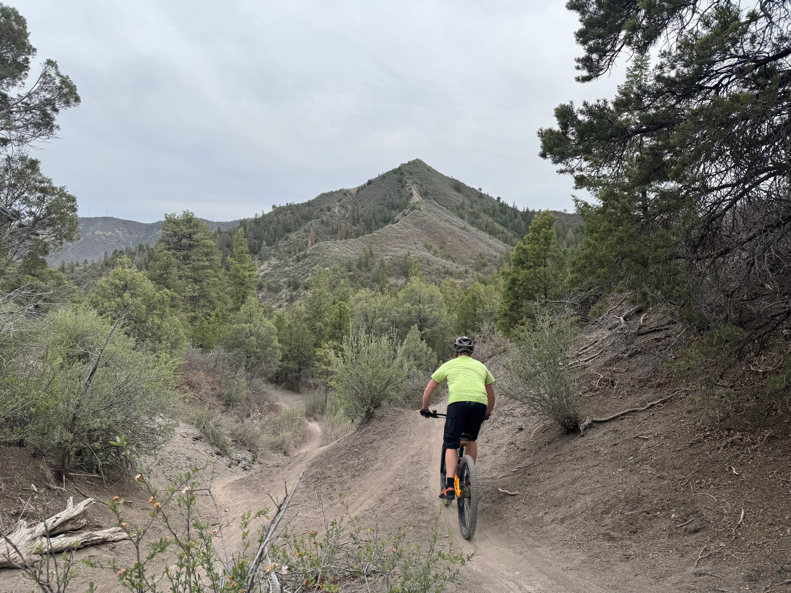 Sharpen Your Ride: Mountain Bike Lessons & Personal Coaching in Durango, Colorado photo 1