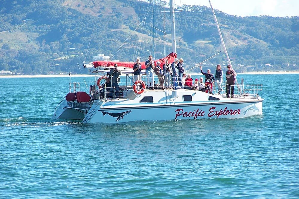 Private Pacific Explorer Charters on the Coffs Coast: Custom Whale-Watching & Sunset Cruises photo 1