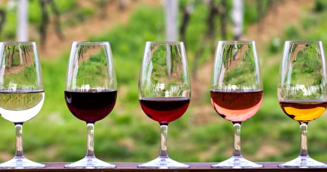 Tomar Wine Tasting Experience by Farm Experiences & Tours