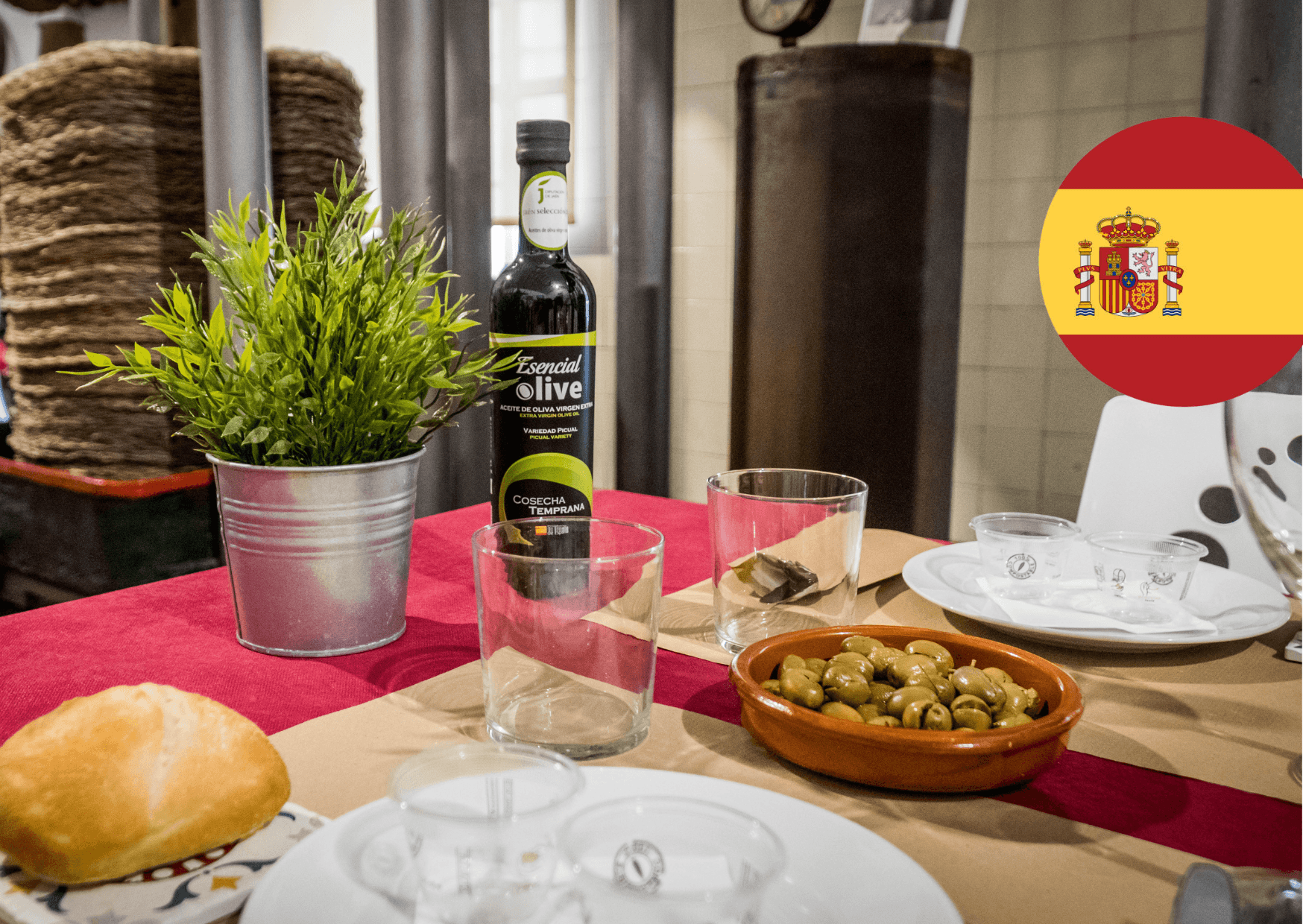 Taste Jaén: Almazara Tour, Olive Oil Tasting & Traditional Tapas in Begíjar