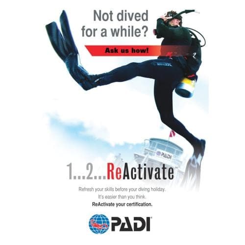 PADI Reactivate in Newington: Quick Scuba Skills Refresher to Restart Diving