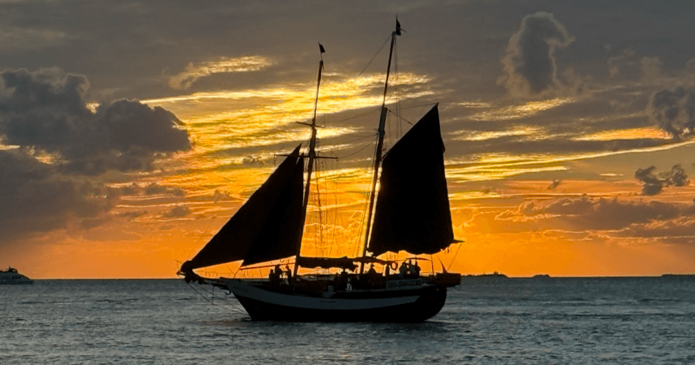 Key West Sunset Cruise: Small-Group Sail with Dolphins and Golden Hour Views photo 3