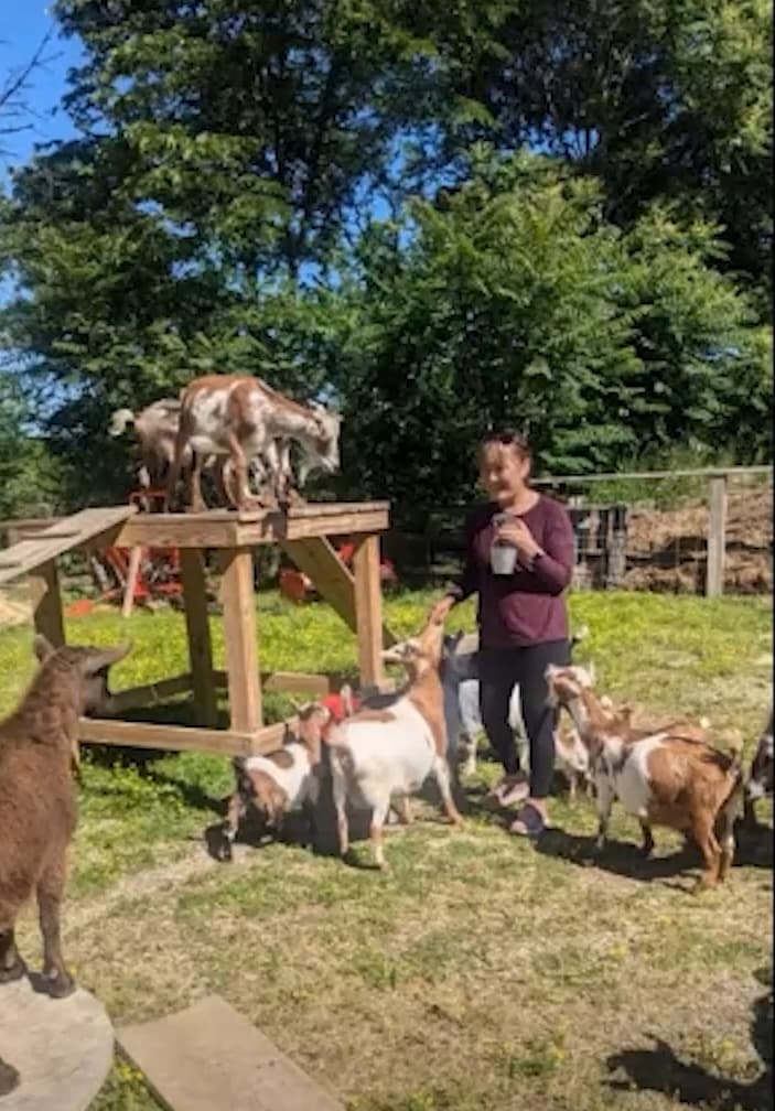 Goat Yoga at Pure Passions Farm: Kent Ohio's Playful Barn Session photo 3