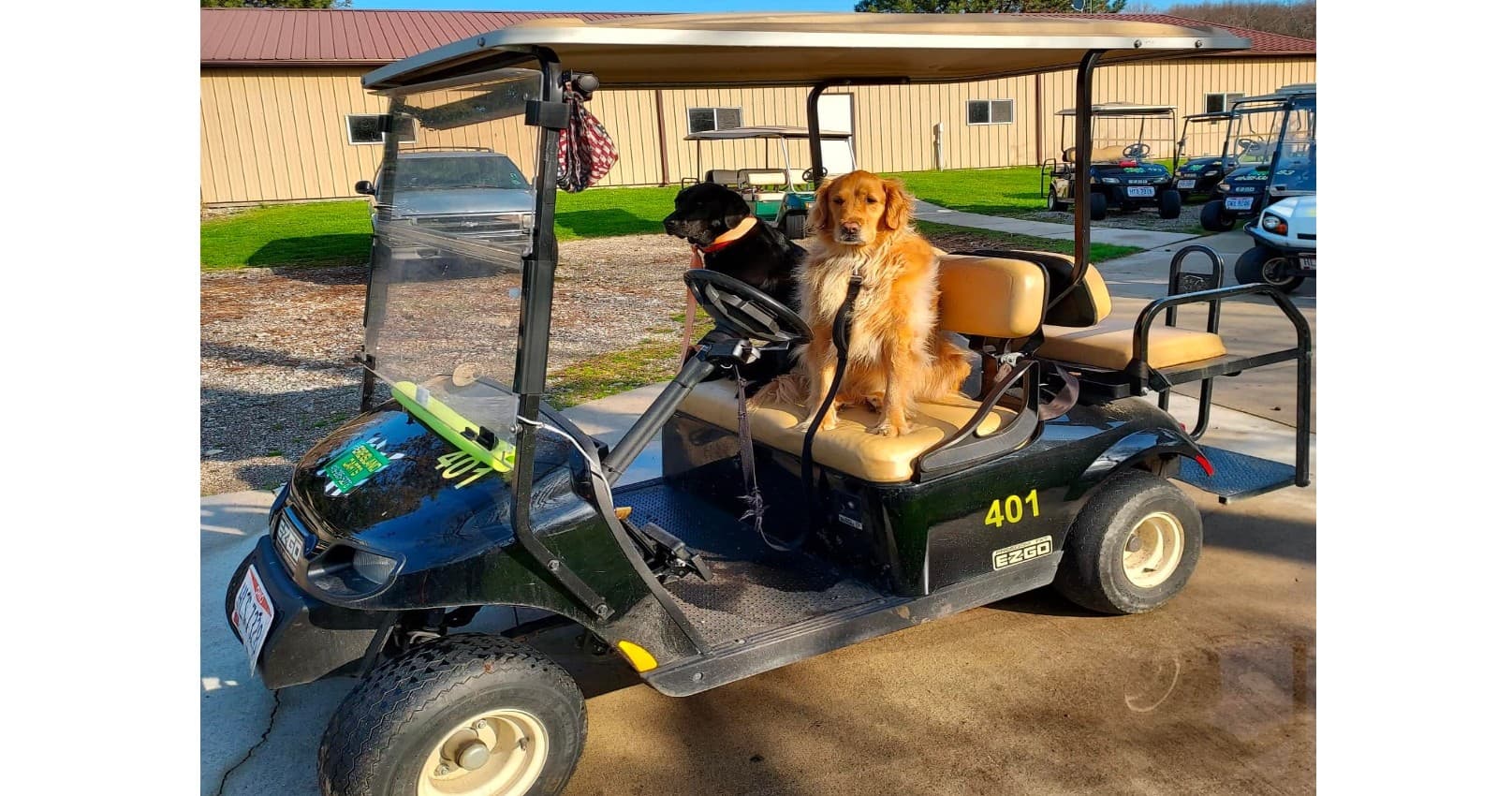 Put-in-Bay Golf Cart Rentals with Erie Island Carts