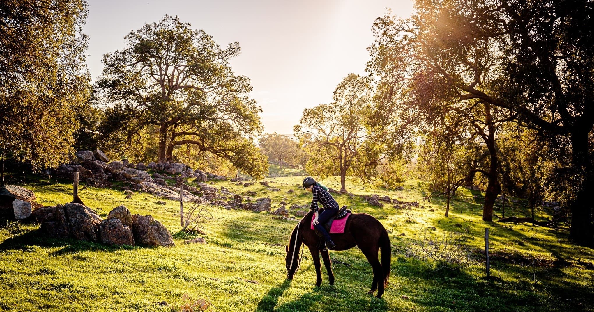 Solo rider enjoying wooded pasture sunlight on scenic trail