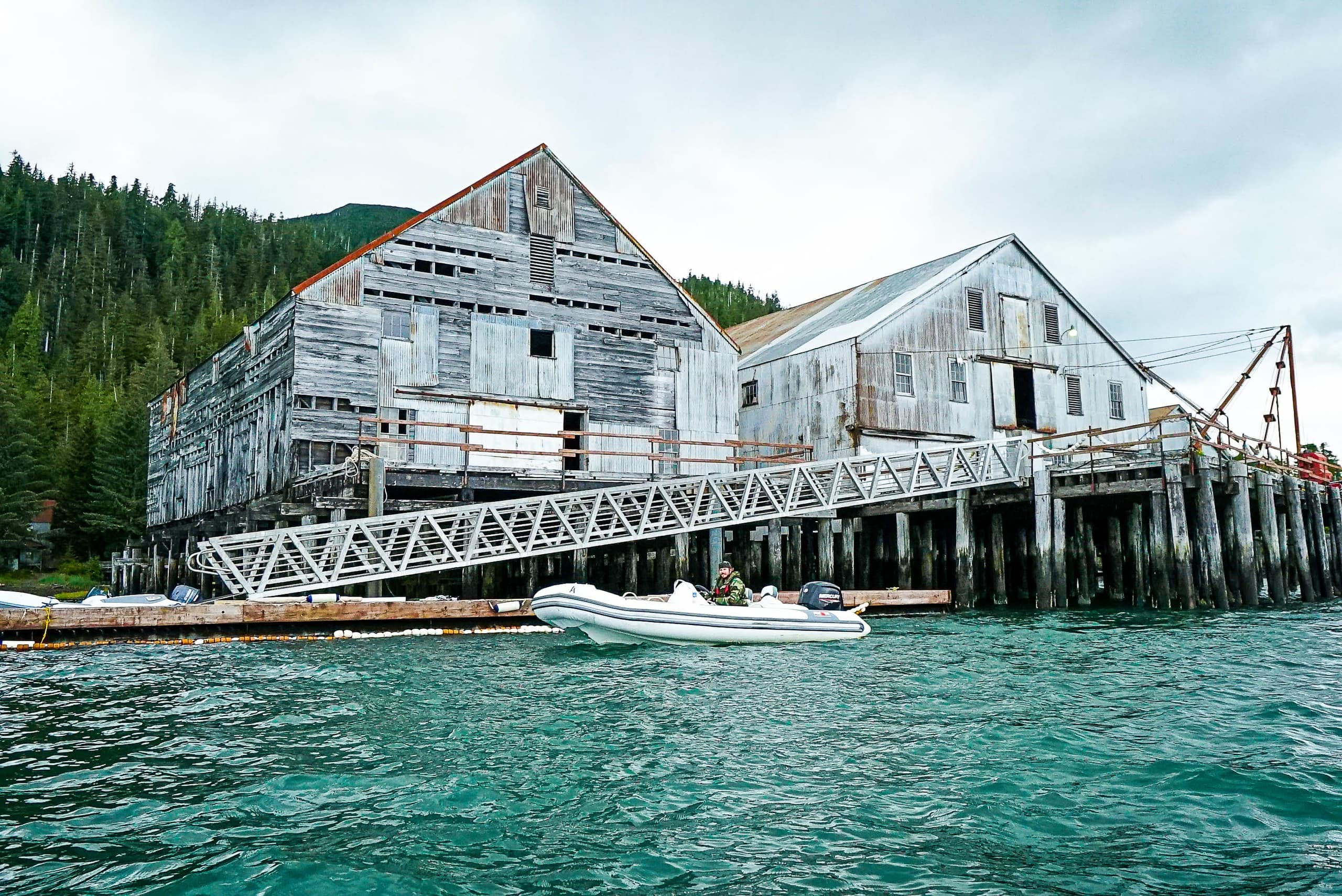 Outdoor Zodiac Adventure with Ketchikan AdventureVue in Alaska