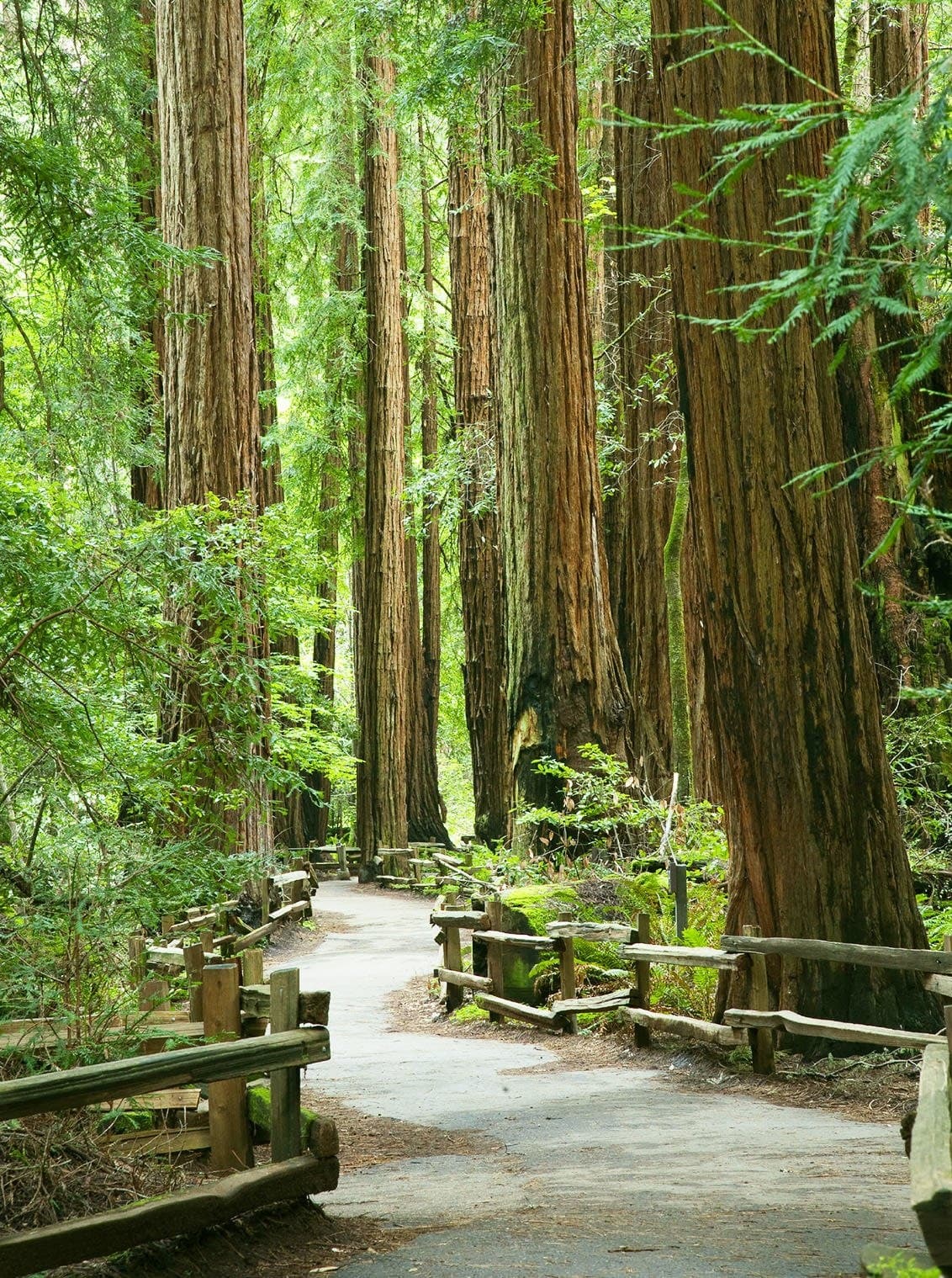 Outdoor Adventures with The Tour Store: San Francisco’s Bay Triple Play