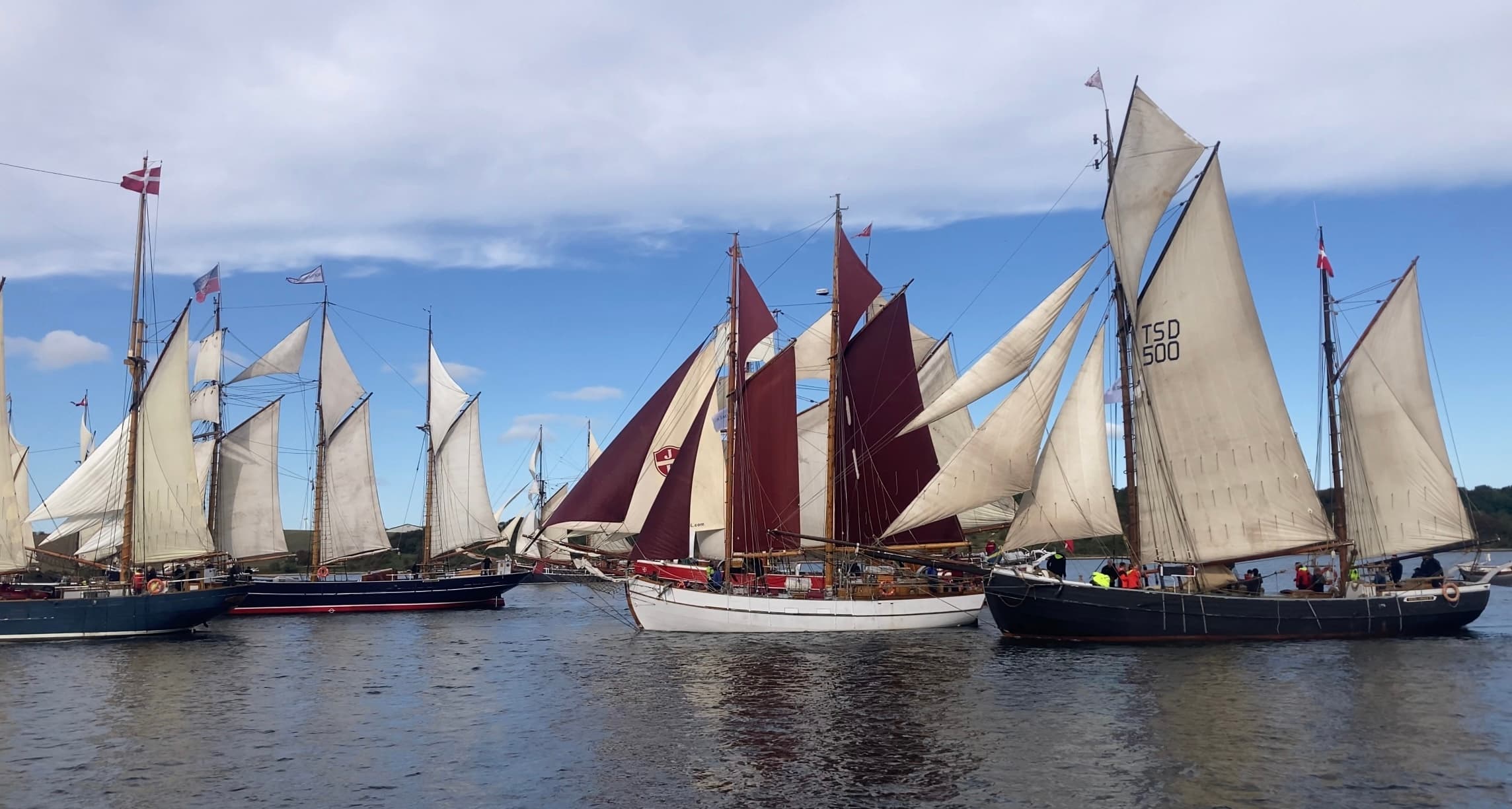 Multiple tall ships sailing in harbor during a sail parade