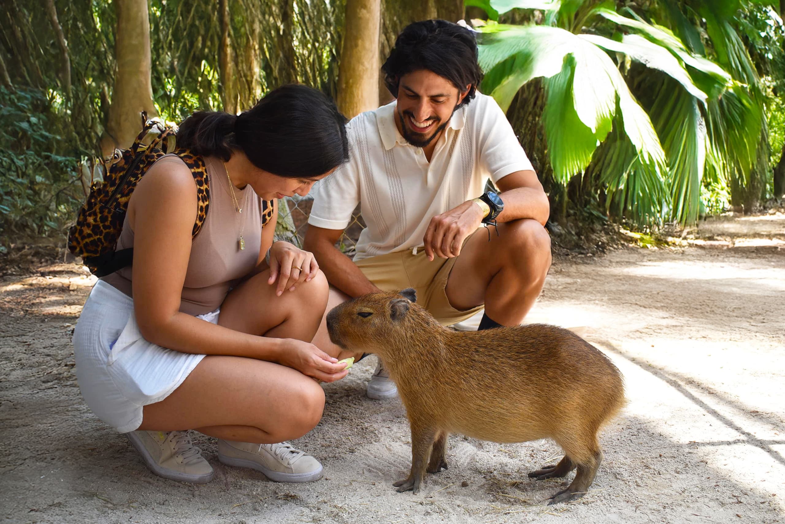 Experience Miami’s Premier Wildlife Encounter with the Super VIP Tour at Jungle Island