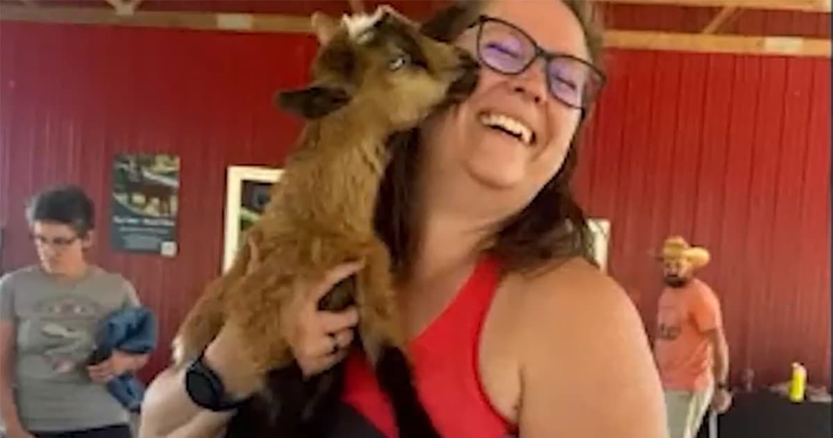 Private Goat Yoga at Pure Passions Farm: Heated Barn Sessions Near Kent, OH