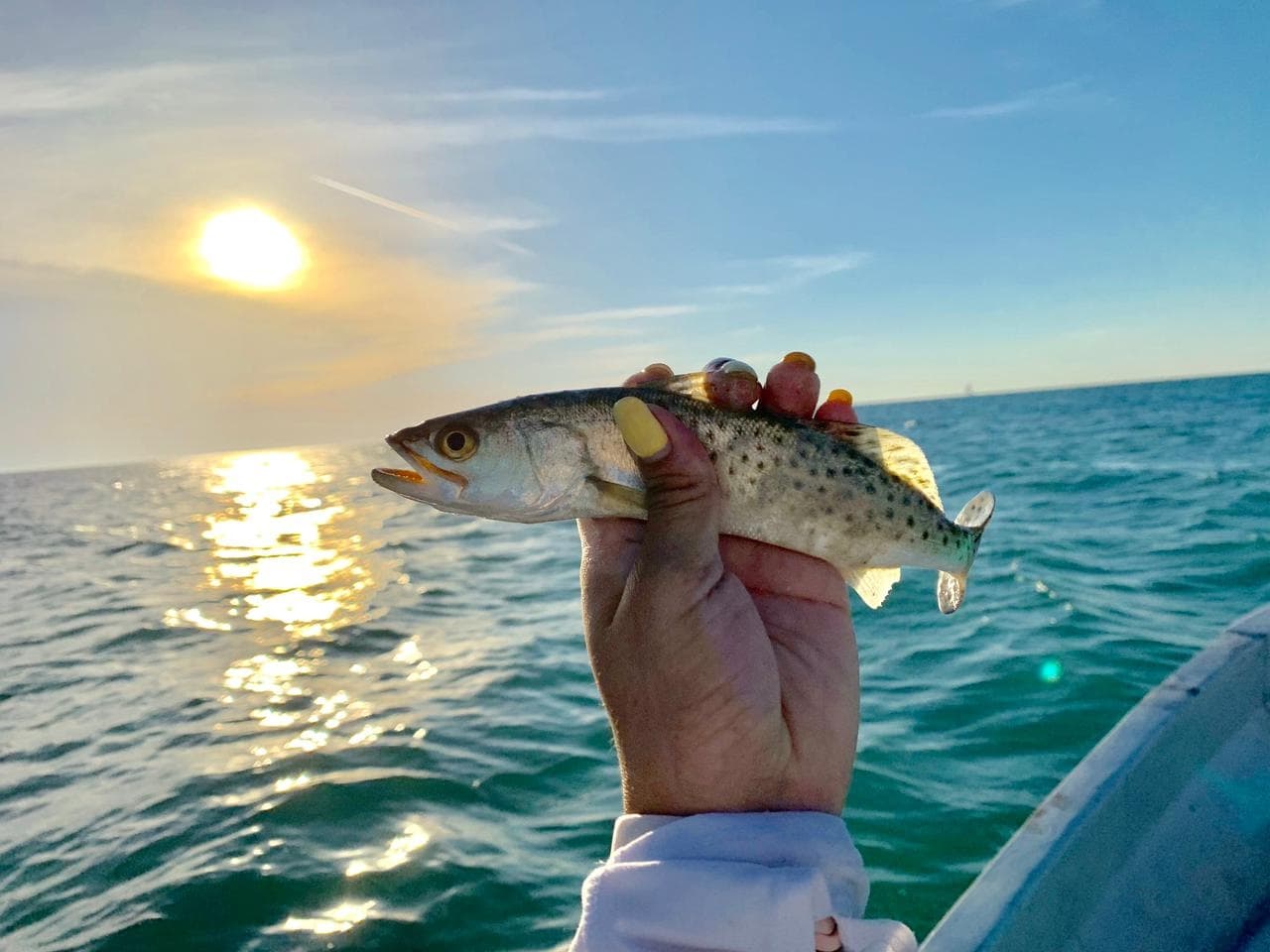 Family Fishing Adventures with Holbox Travel in Quintana Roo