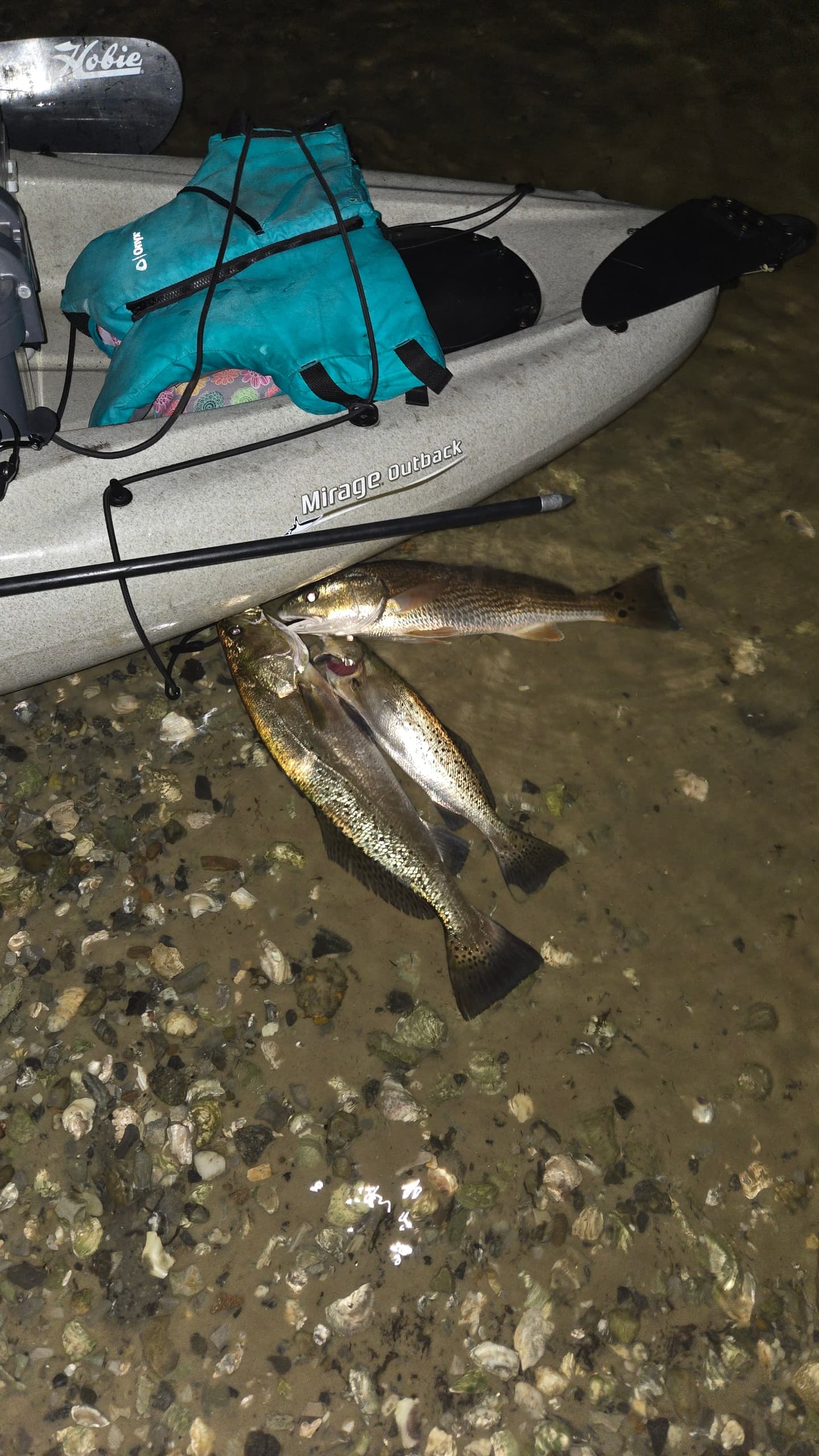 Night Fishing the Dock Lights: 3-Hour Santa Rosa Beach Charter photo 2