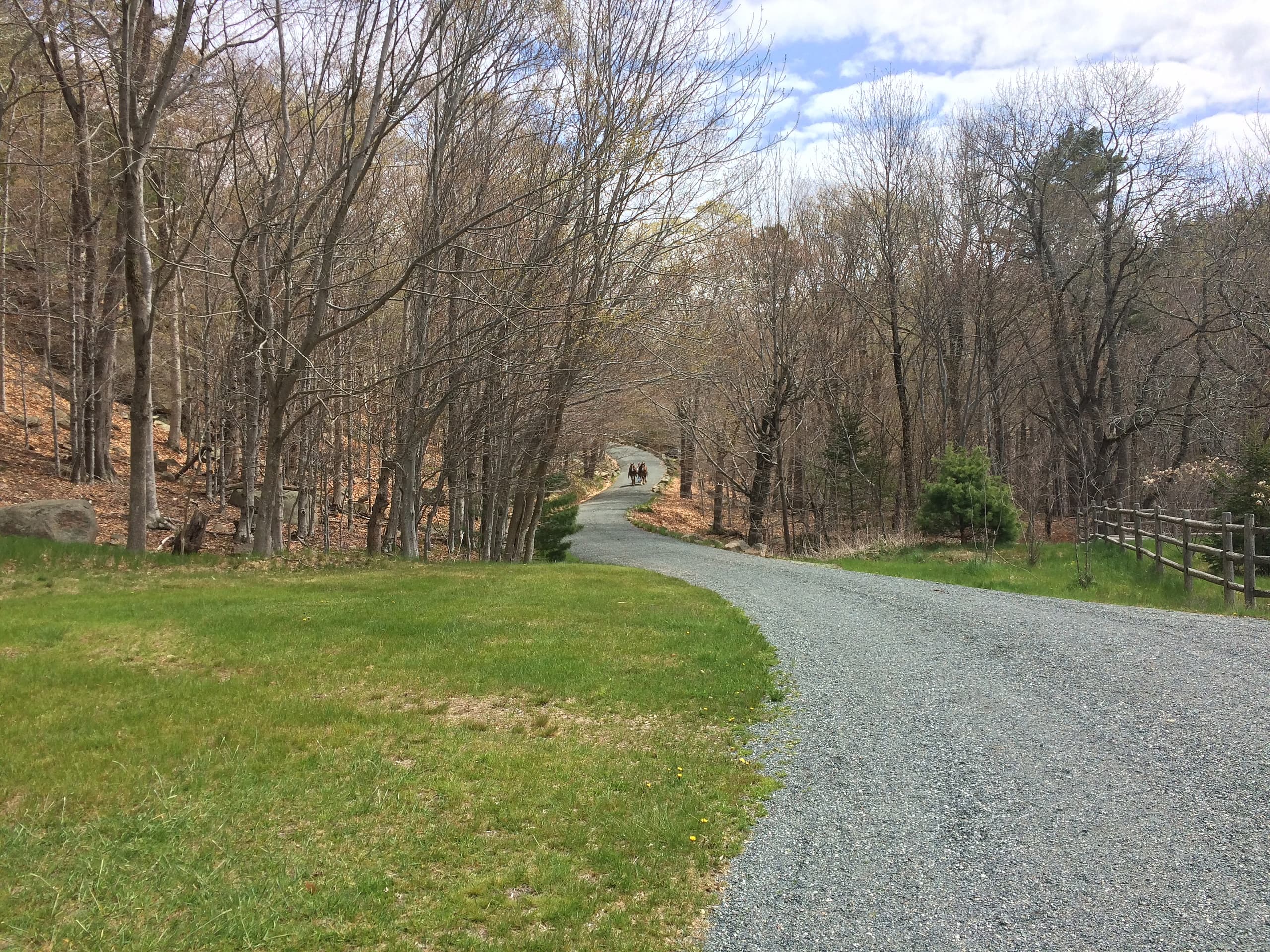 Equestrian Adventure in Acadia National Park with Wildwood Stables