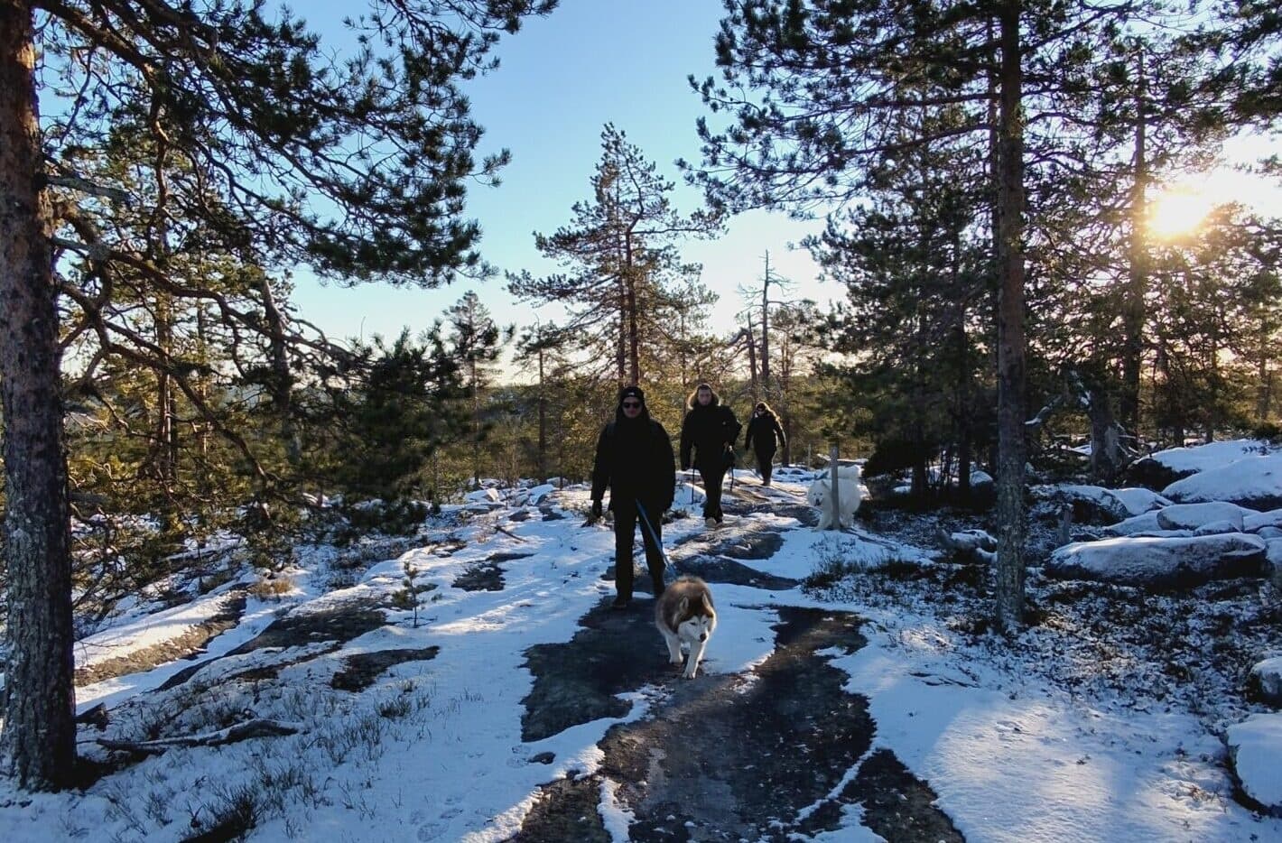 Hikers trekking on snowy rocky trail through pine forest winter