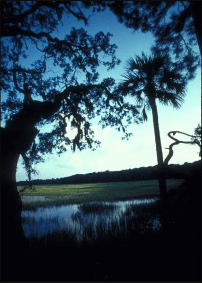 Unveiling Savannah’s Shadows: A Dark History Tour of Georgia’s Haunting Past