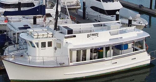 Large Group Inshore Fishing with Ultimate Charters Auckland