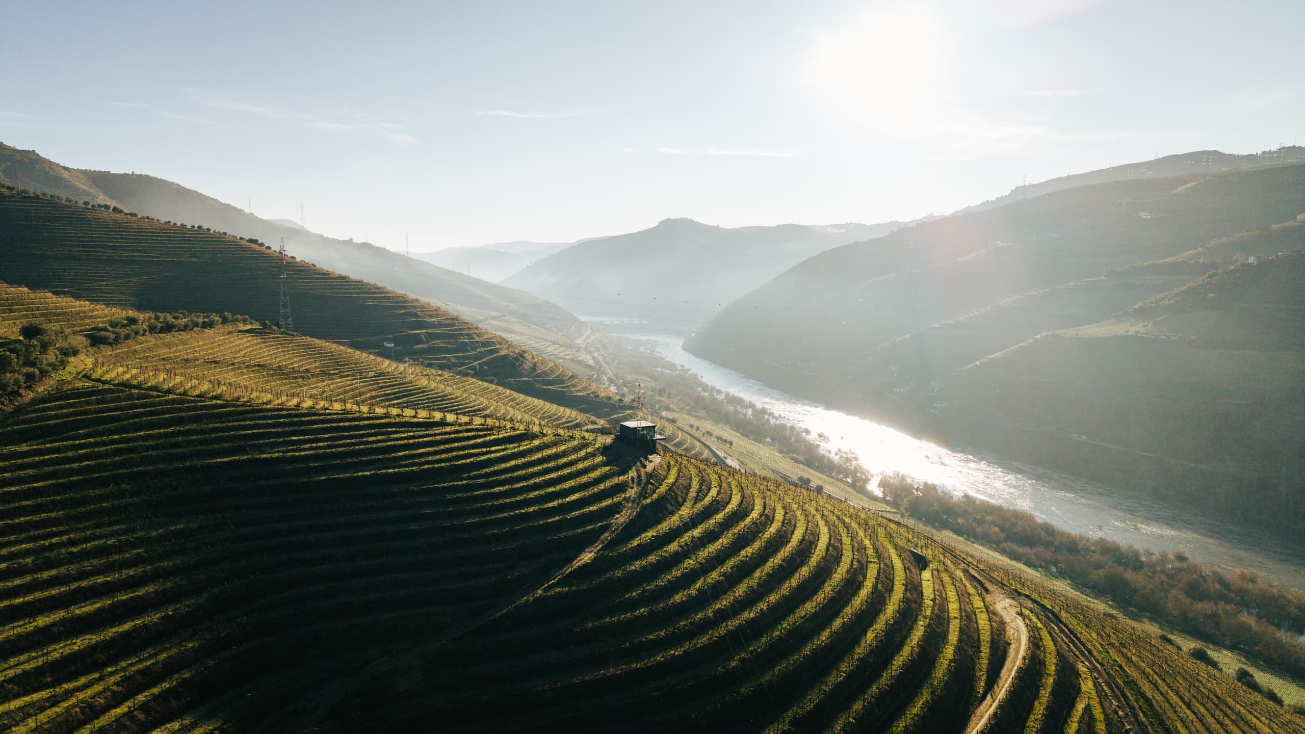 Experience ROOTS at Quinta da Vacaria: A Sensory Wine Journey in Vila Real, Portugal