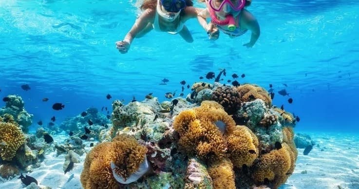 Cruz Bay Sunset Snorkel Charter: Snorkel Sunset on St. John