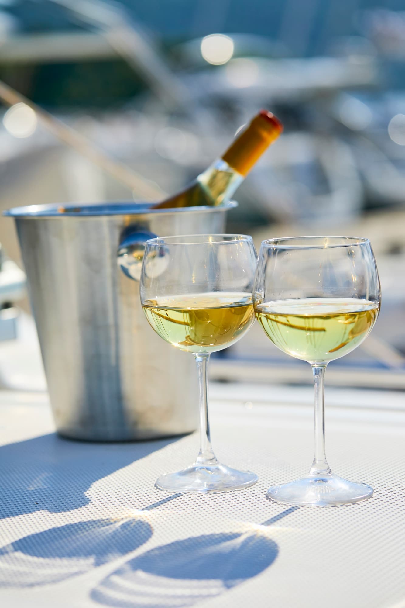 Luxury Water-Activities with Chocolate Milk Charters
