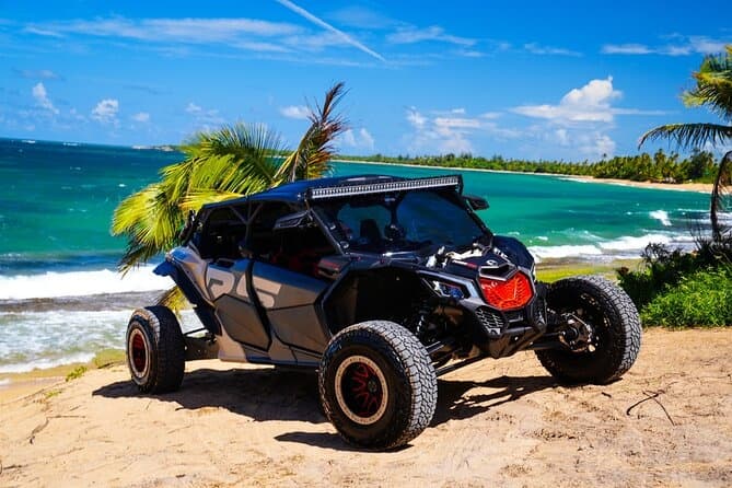 Off-road dune buggy parked on Caribbean beach with palms