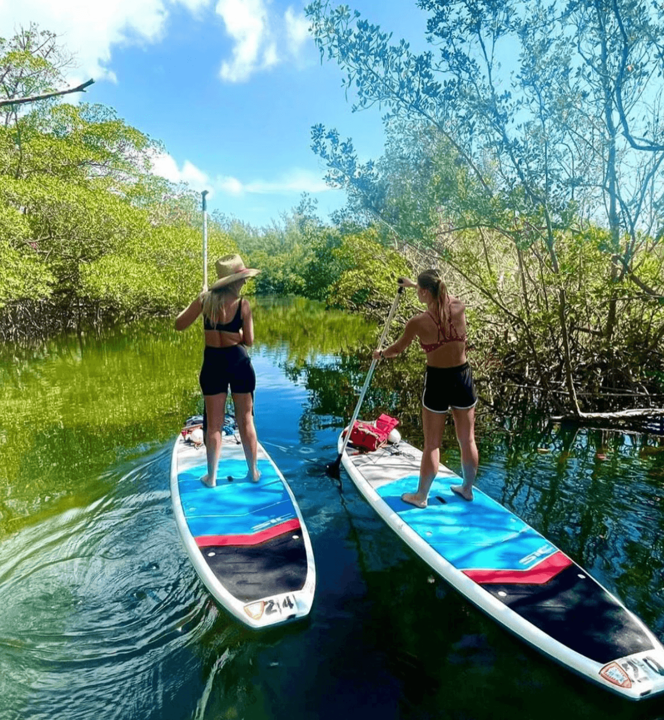 SUP Rentals at BG Oleta River Outdoors in North Miami Beach
