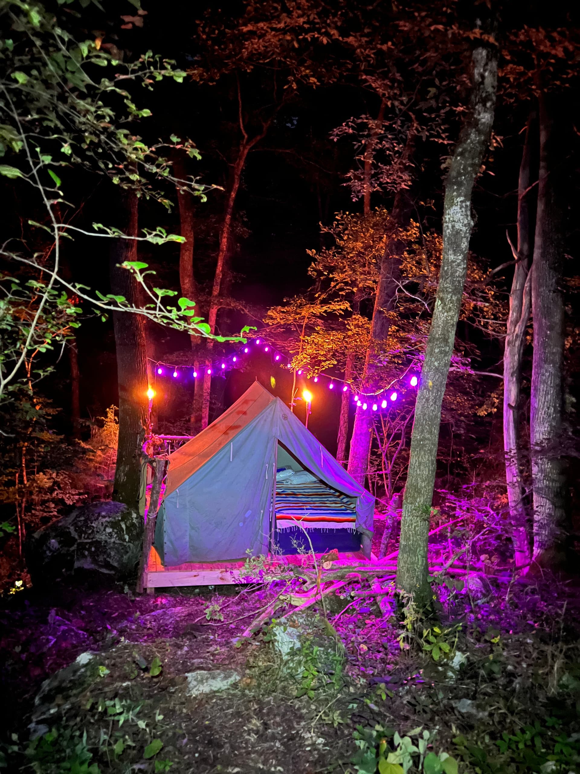 Land Adventures at Sims Cave Park Inc. in Alabama