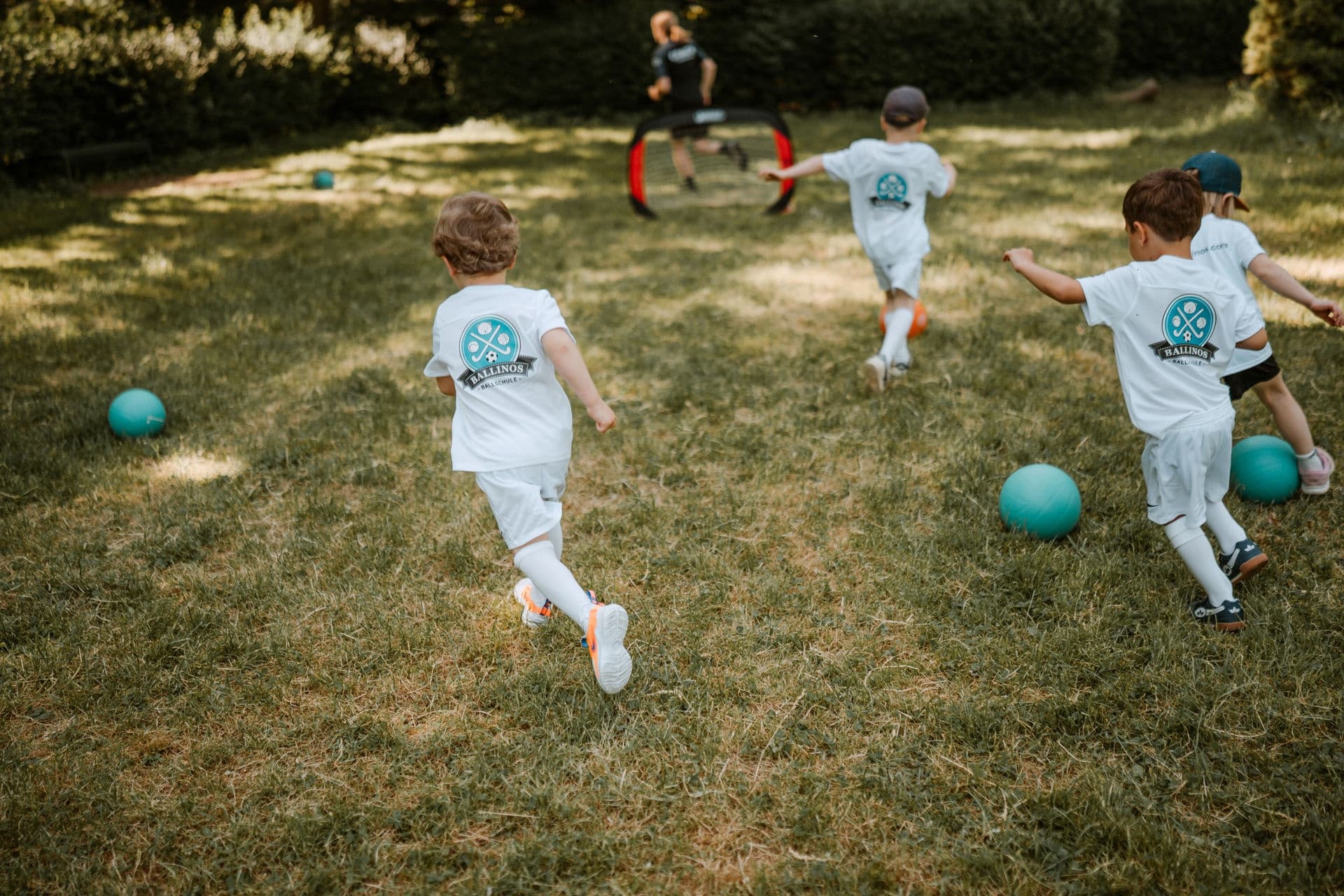 Land Adventures with Ballinos in Mülheim