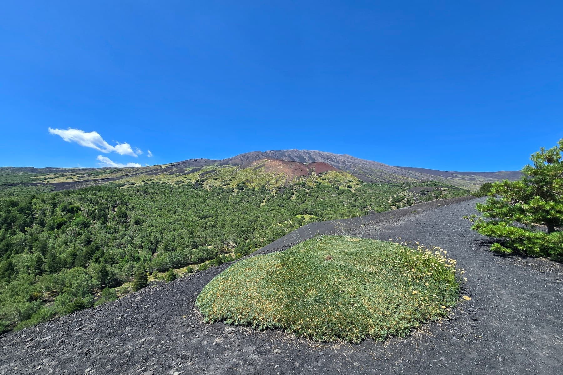 Mount Etna and Alcantara Gorge Day Tour from Taormina — Hike Craters & Basalt Canyon
