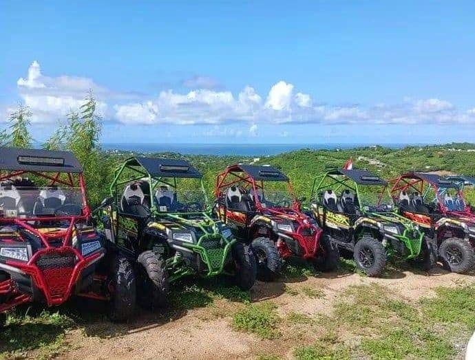 Land Adventure: Vieques Offroad Buggy Adventures