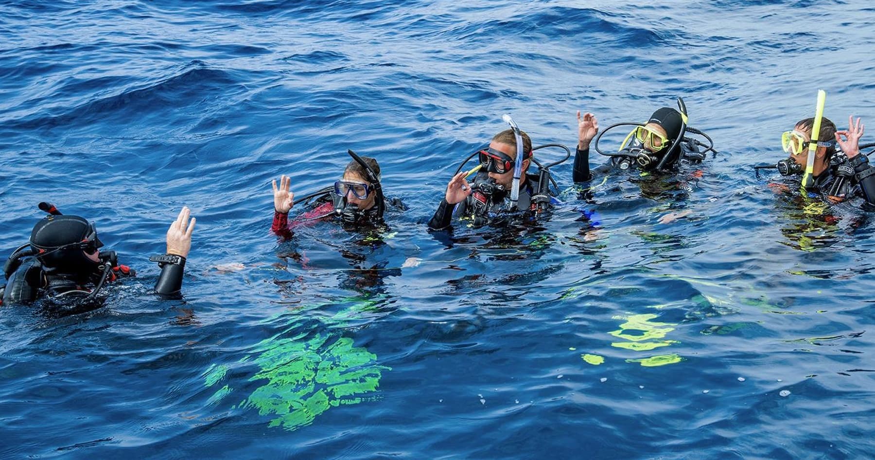 Divemaster Course in Playa del Carmen: Become a Professional Scuba Leader photo 3
