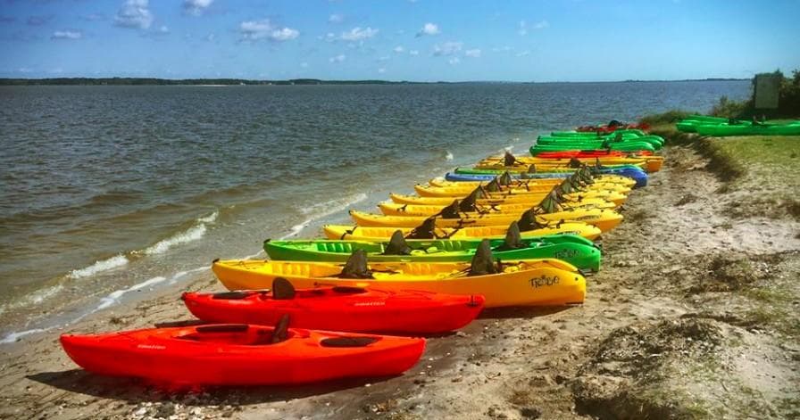 Colorful kayaks lined up on Assateague beach ready for tours