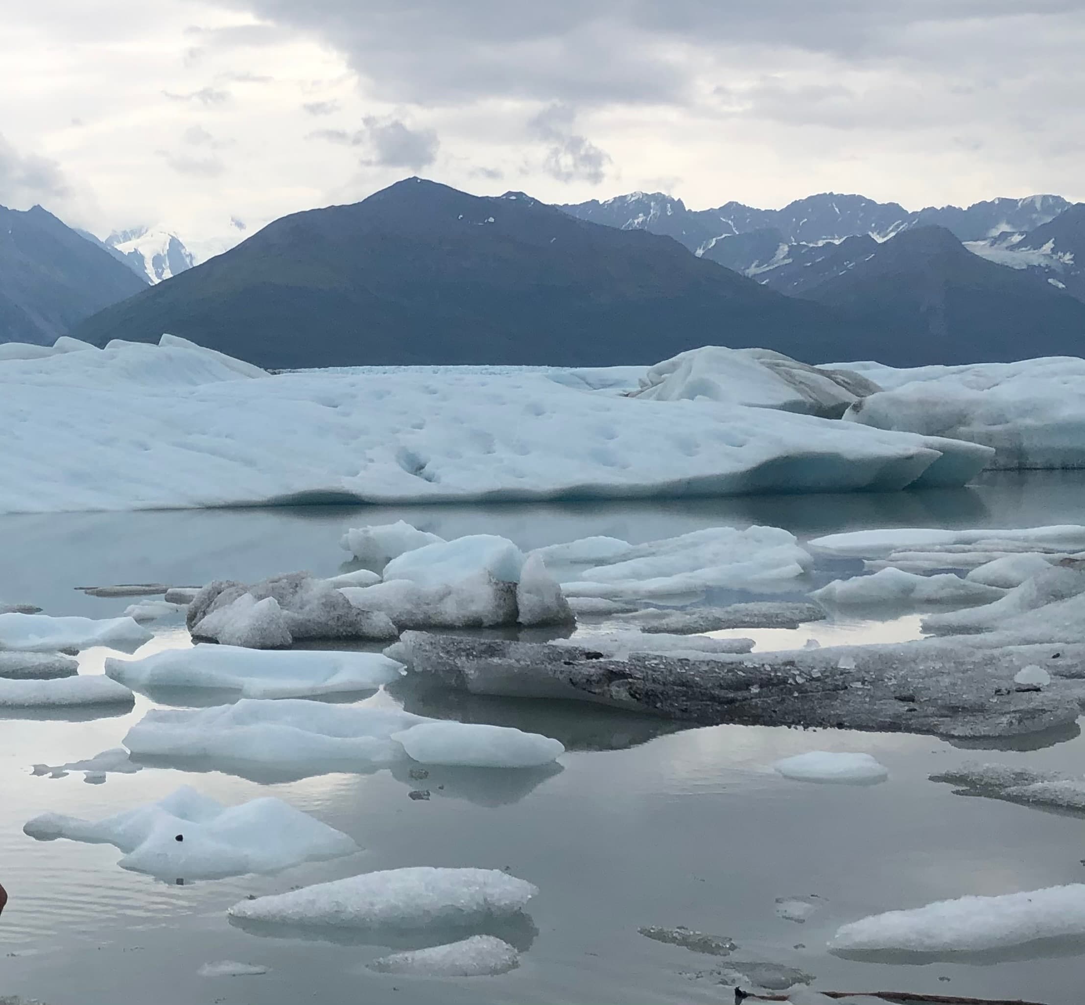 Icebergs floating in glacial lagoon with mountain backdrop