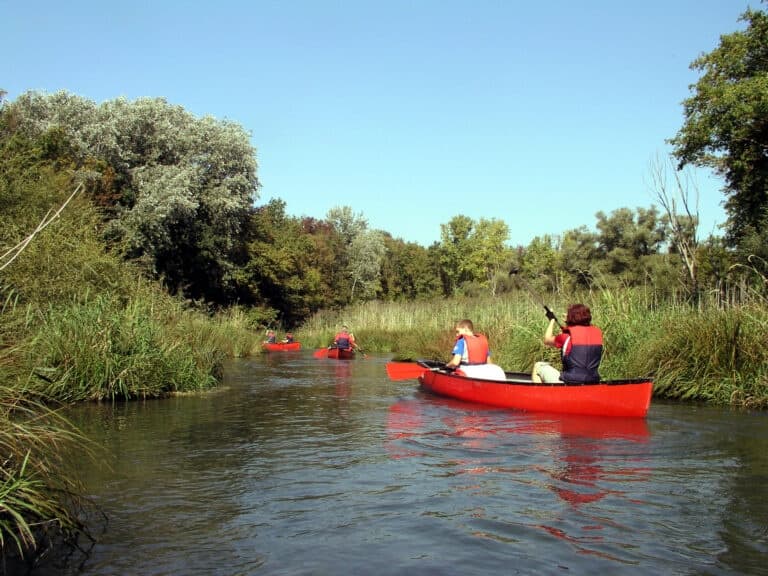 Water Activities & Wildsport Tours: Rhine River Canoe Adventure