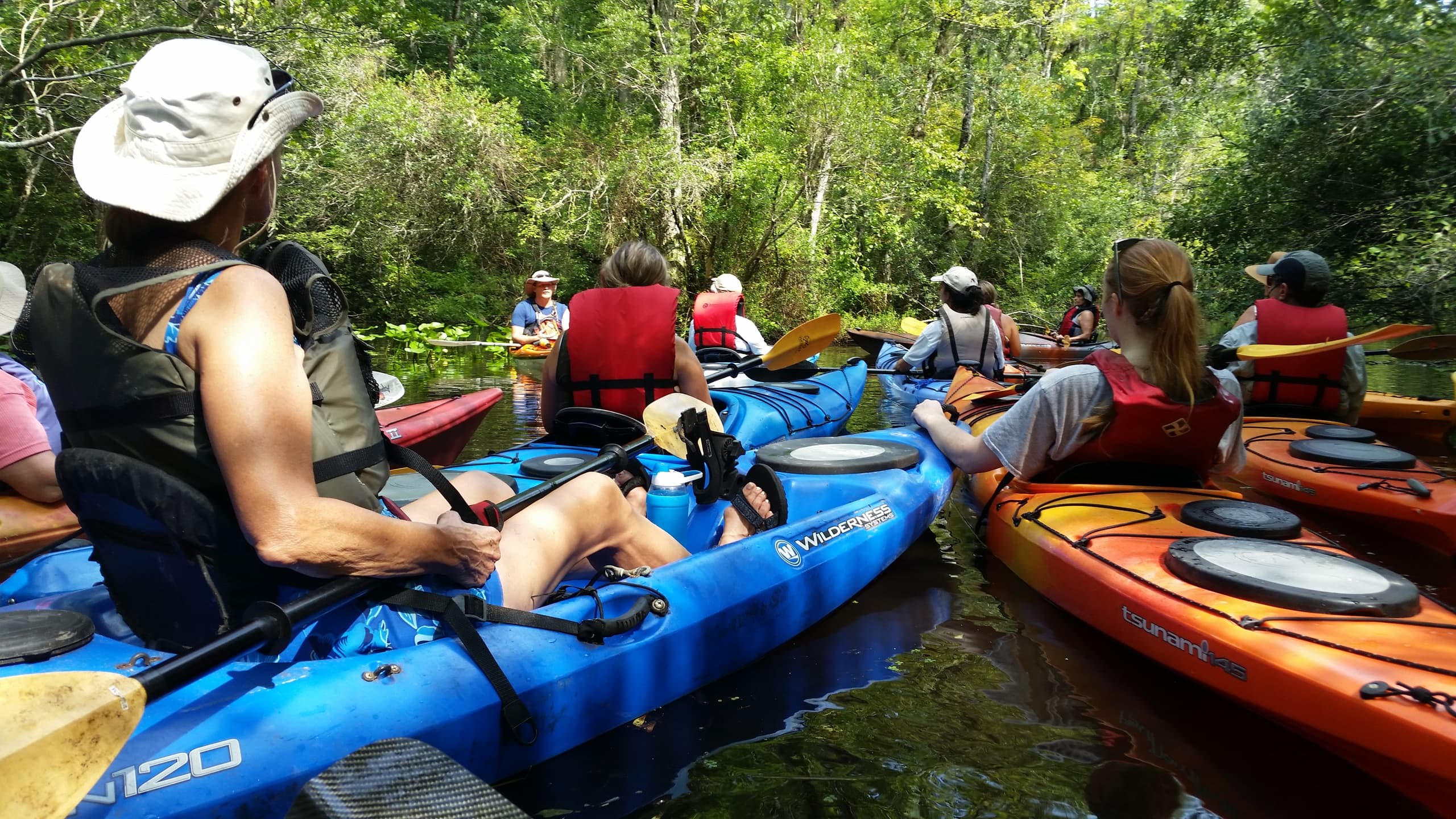 Welaka Springs Kayak: Paddle the St. Johns River Along William Bartram’s Route photo 2